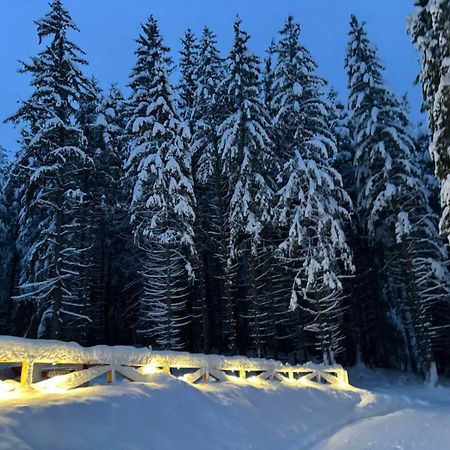Хижа Чучулига Паничиште Экстерьер фото