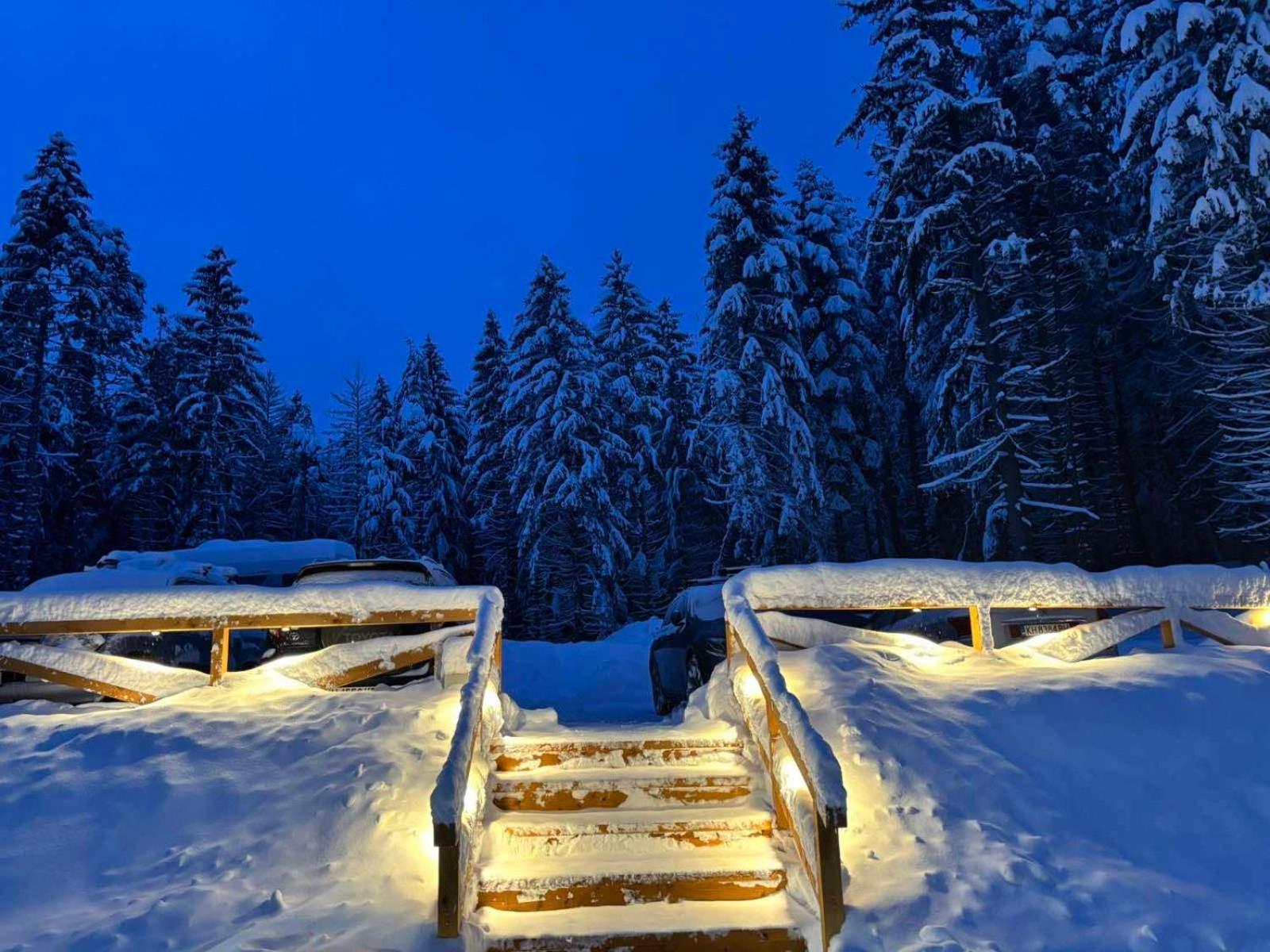Хижа Чучулига Паничиште Экстерьер фото